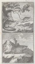 (Weiße,C.F. Hrsg.).