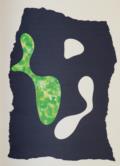 Arp,H.