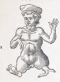 Uffenbach,P.