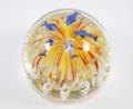 Paperweight Aquarium.