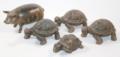 Schildkröten u.