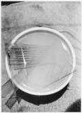 Polke, Sigmar