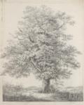 Schnizlein, Karl Friedrich