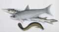 Fische.