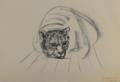 Panther,