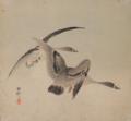 Koson, Ohara