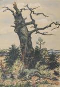 Böllman, Ludwig.