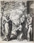 Cort, Cornelis