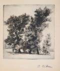 Hilmer, Arnold