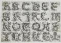 Hopfer, Daniel
