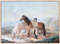 Pforr, Johann Georg