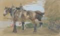 Pitzner, Max Joseph
