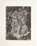 Reinhart, Johann Christian