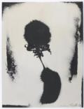 Seyde, Gerhard