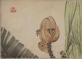 Zeshin, Shibata