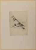 Ziegler, Richard