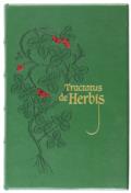 Tractatus de Herbis.