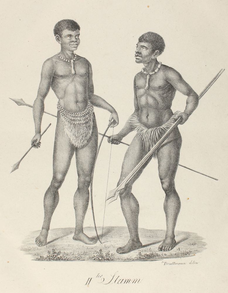 Große Abbildung Nr.1: 120-1016 Brodtmann,J.: (Zoologie)