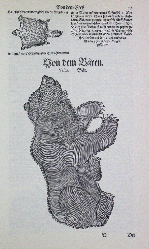 Große Abbildung Nr.1: 120-1039 Gessner,C.: (Zoologie)
