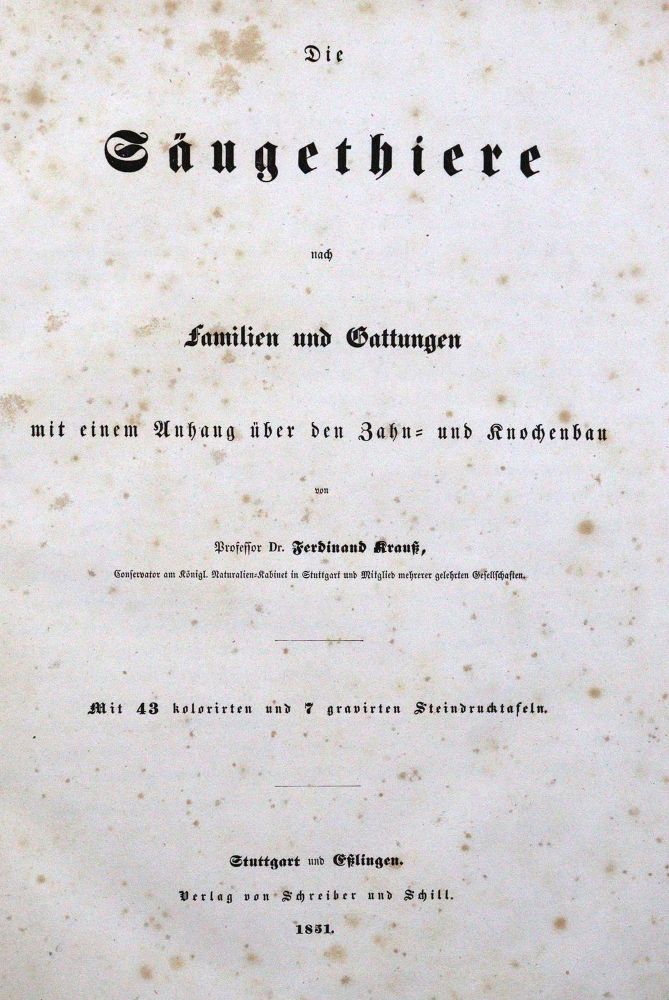 Große Abbildung Nr.1: 120-1049 Krauß,F.: (Zoologie)