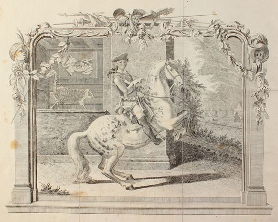 Große Abbildung Nr.1: 120-1055 Sind,(J.B.).v.: (Zoologie, Pferde)