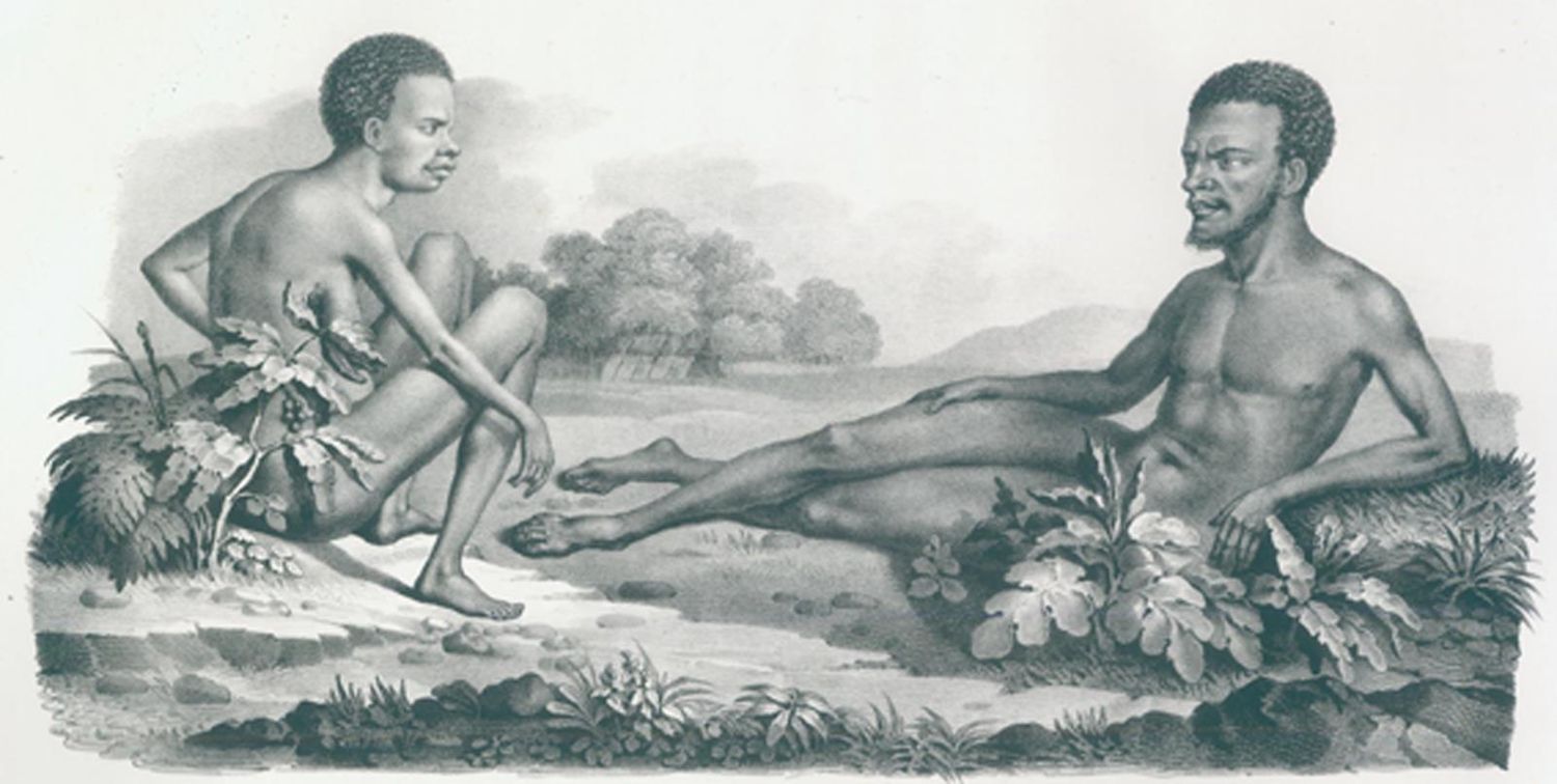 Große Abbildung Nr.1: 120-1059 Schinz,H.R.: (Zoologie)