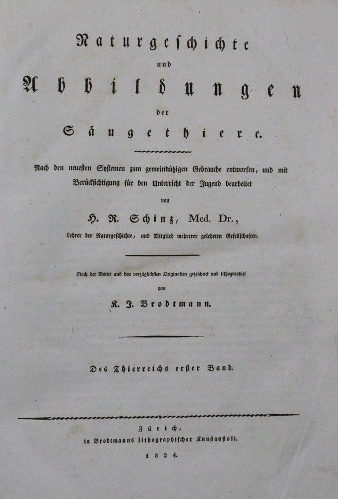 Große Abbildung Nr.1: 120-1060 Schinz,H.R.: (Zoologie)
