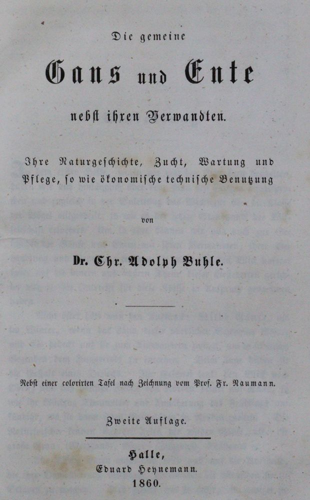 Große Abbildung Nr.1: 120-1071 Buhle,C.A.: (Zoologie, Vögel)