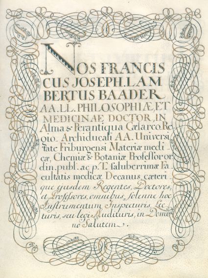 Große Abbildung Nr.1: 120-110 Doktorbrief: (Handschriften)