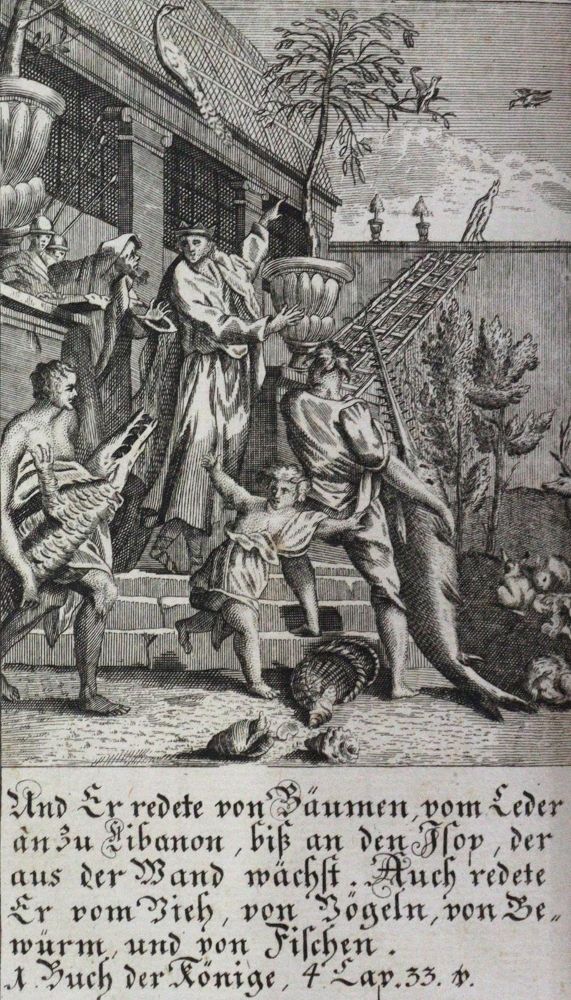 Große Abbildung Nr.2: 120-1116 Konvolut: (Verschiedene Gebiete - Varia)