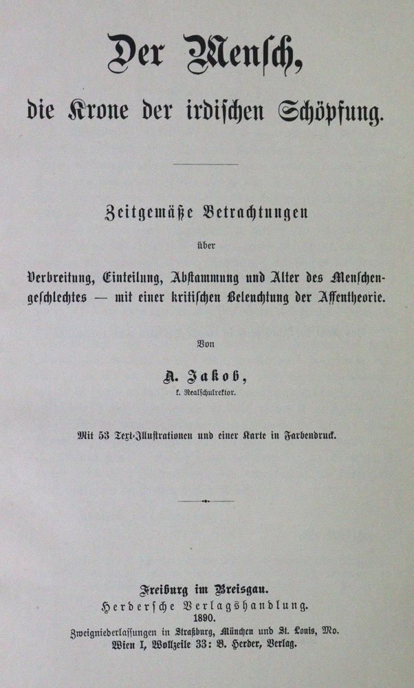 Große Abbildung Nr.2: 120-1117 Konvolut: (Verschiedene Gebiete - Varia)