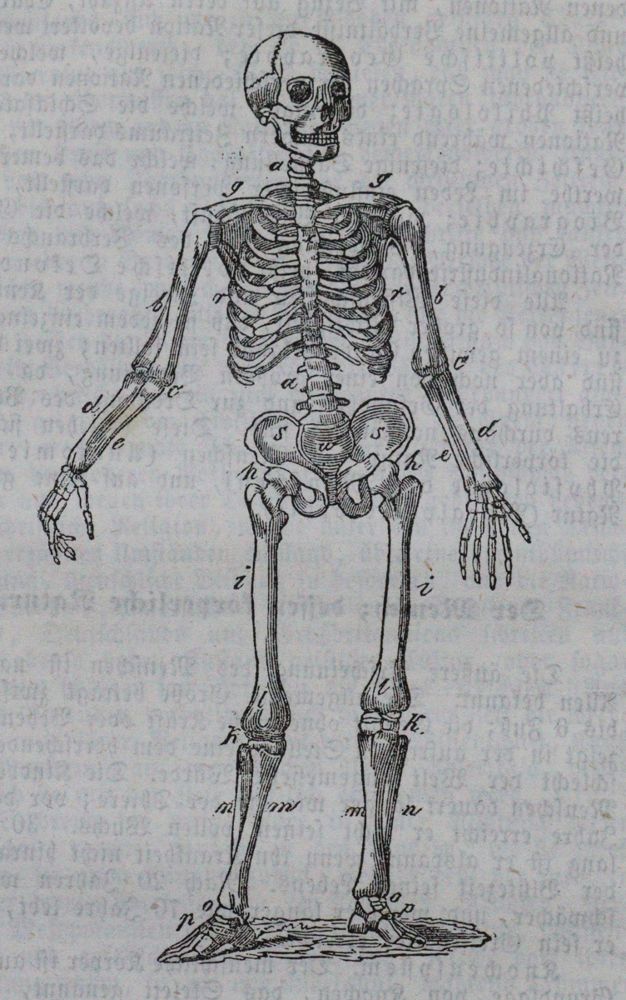 Große Abbildung Nr.1: 120-1121 Kottenkamp,F. (Übers.).: (Verschiedene Gebiete - Varia)
