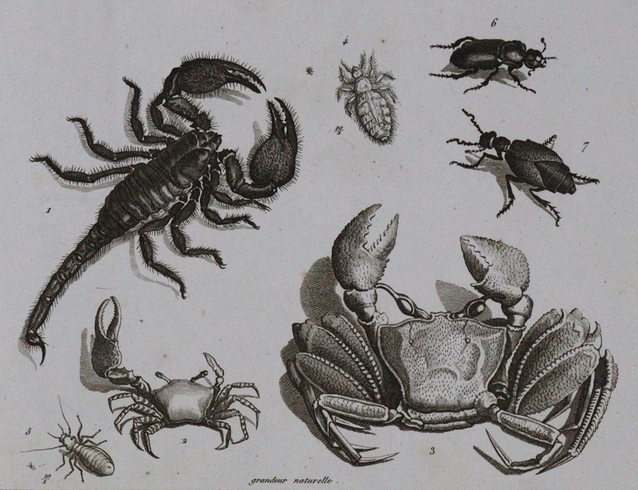 Große Abbildung Nr.1: 120-1122 Kupfer-Sammlung: (Verschiedene Gebiete - Varia)