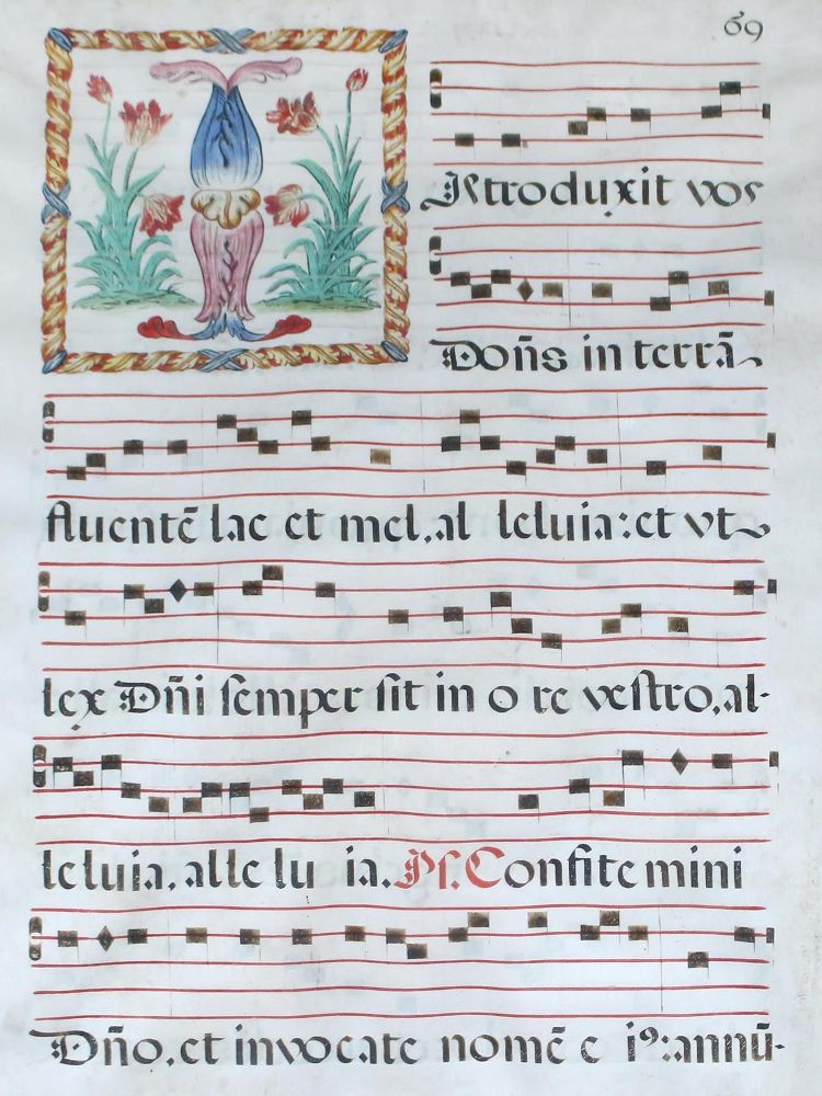 Große Abbildung Nr.1: 120-115 Initialie I.: (Handschriften)