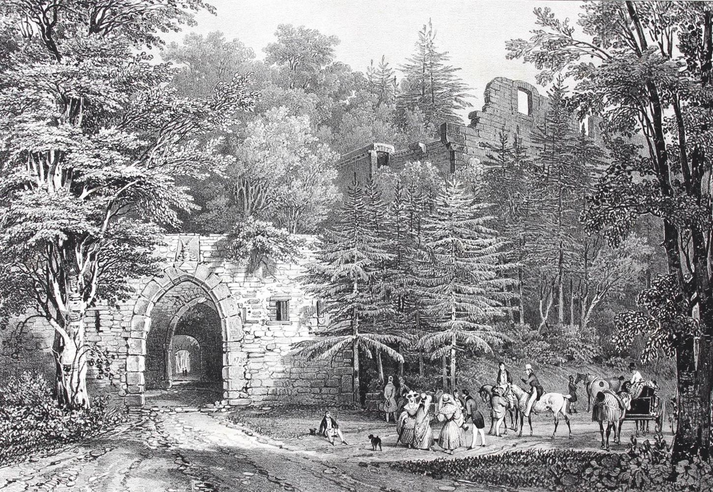 Große Abbildung Nr.2: 120-1246 Ring,M.: (Deutschland)