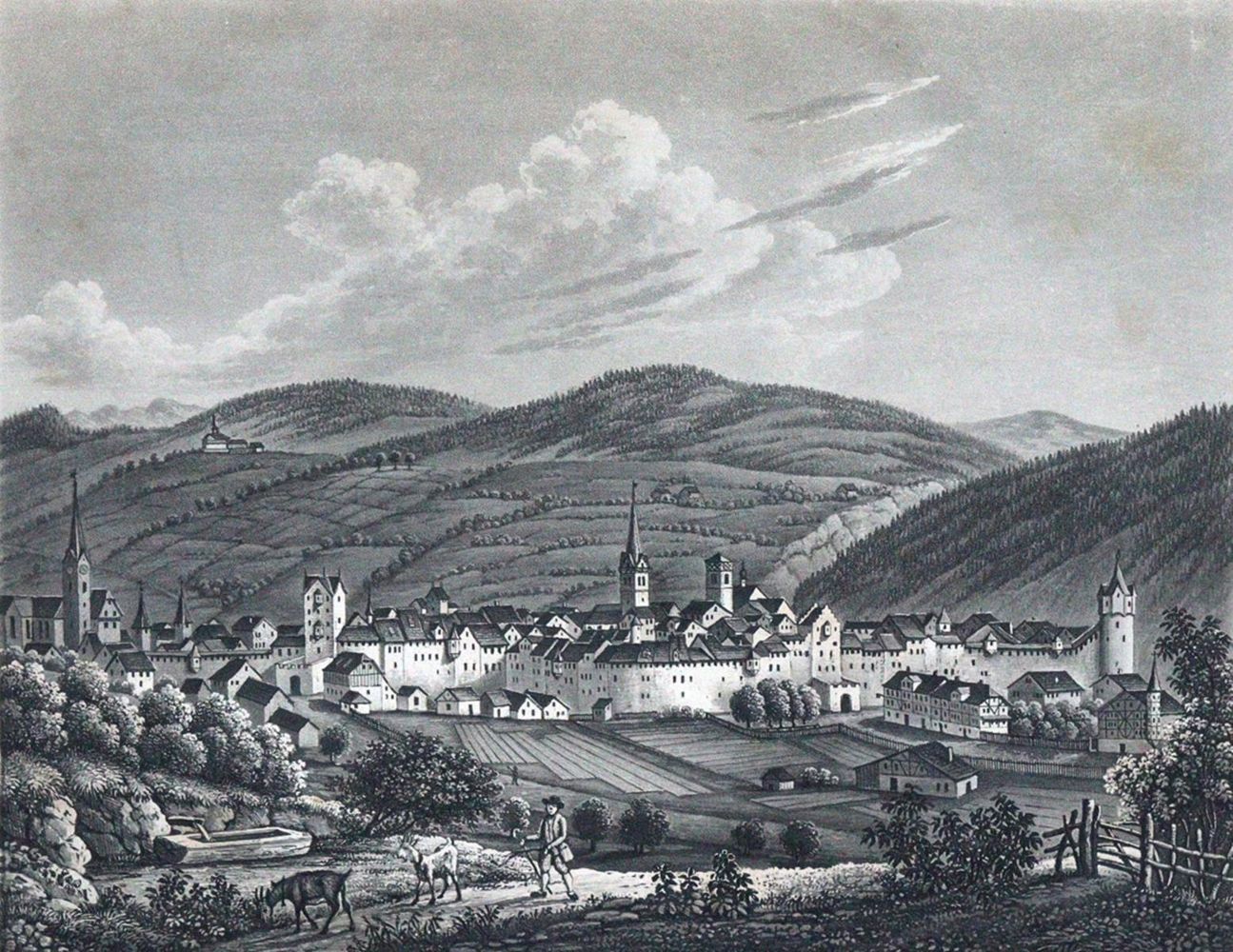Große Abbildung Nr.1: 120-1337 Naef,A.: (Schweiz)
