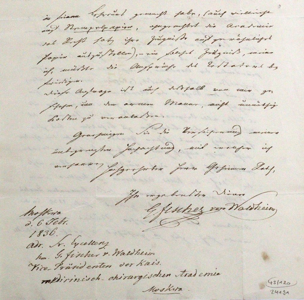 Große Abbildung Nr.2: 120-1417 Fischer von Waldheim, Johann Gotthelf,: (Autographen)