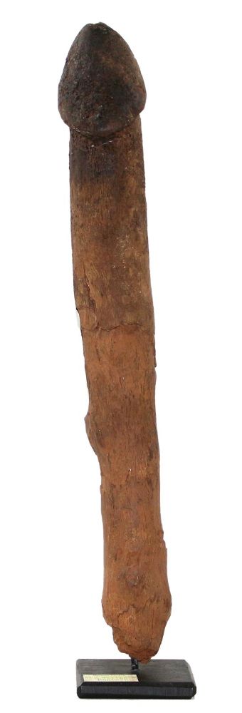 Große Abbildung Nr.1: 120-1551 Ritual Penis Lobi: (Afrika, Sammlung Wolfgang Nerlich, Burkina Faso)