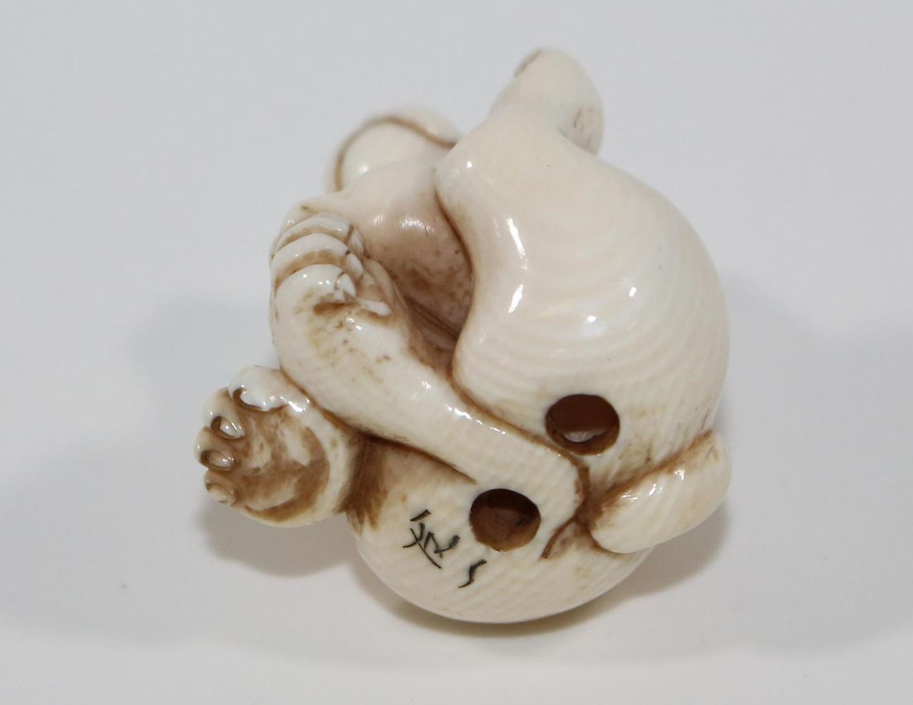 Große Abbildung Nr.2: 120-1613 Kleines Hündchen.: (Asiatika, Netsuke)