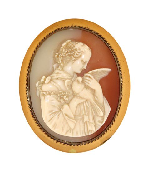 Große Abbildung Nr.1: 120-1738 Muschelgemme: (Schmuck, Broschen)