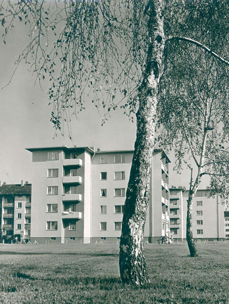 Große Abbildung Nr.12: 120-1937 Häusser, Robert: (Photographie)