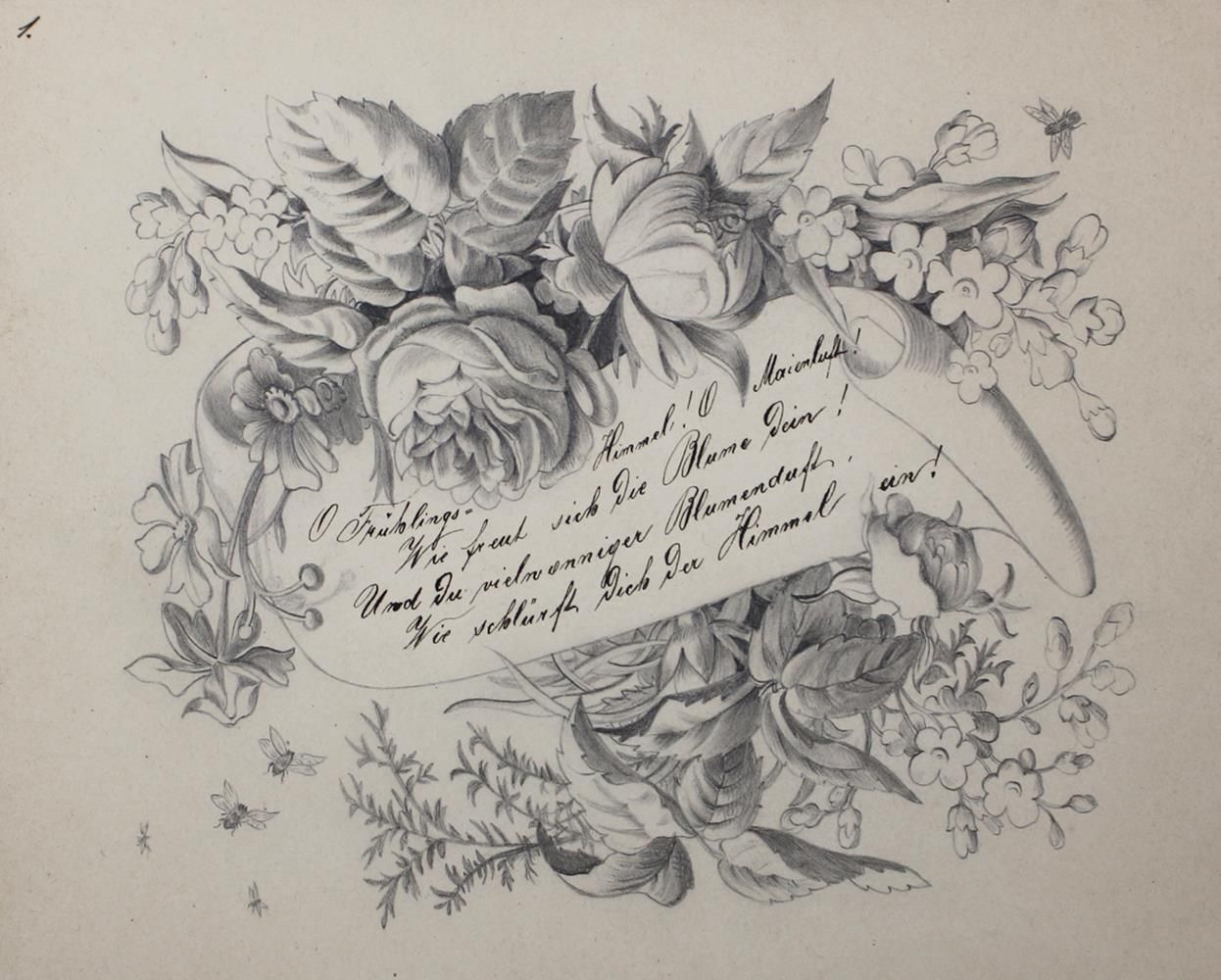 Große Abbildung Nr.1: 120-1963 Blumen.: (Varia, Botanik)