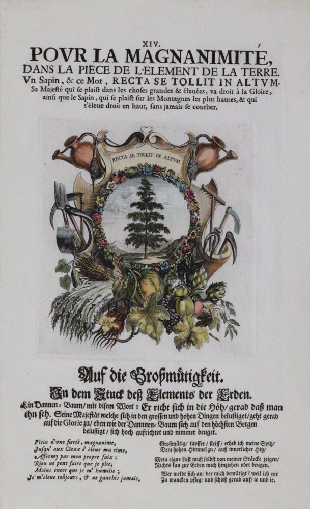 Große Abbildung Nr.1: 120-1972 Elemente.: (Varia)