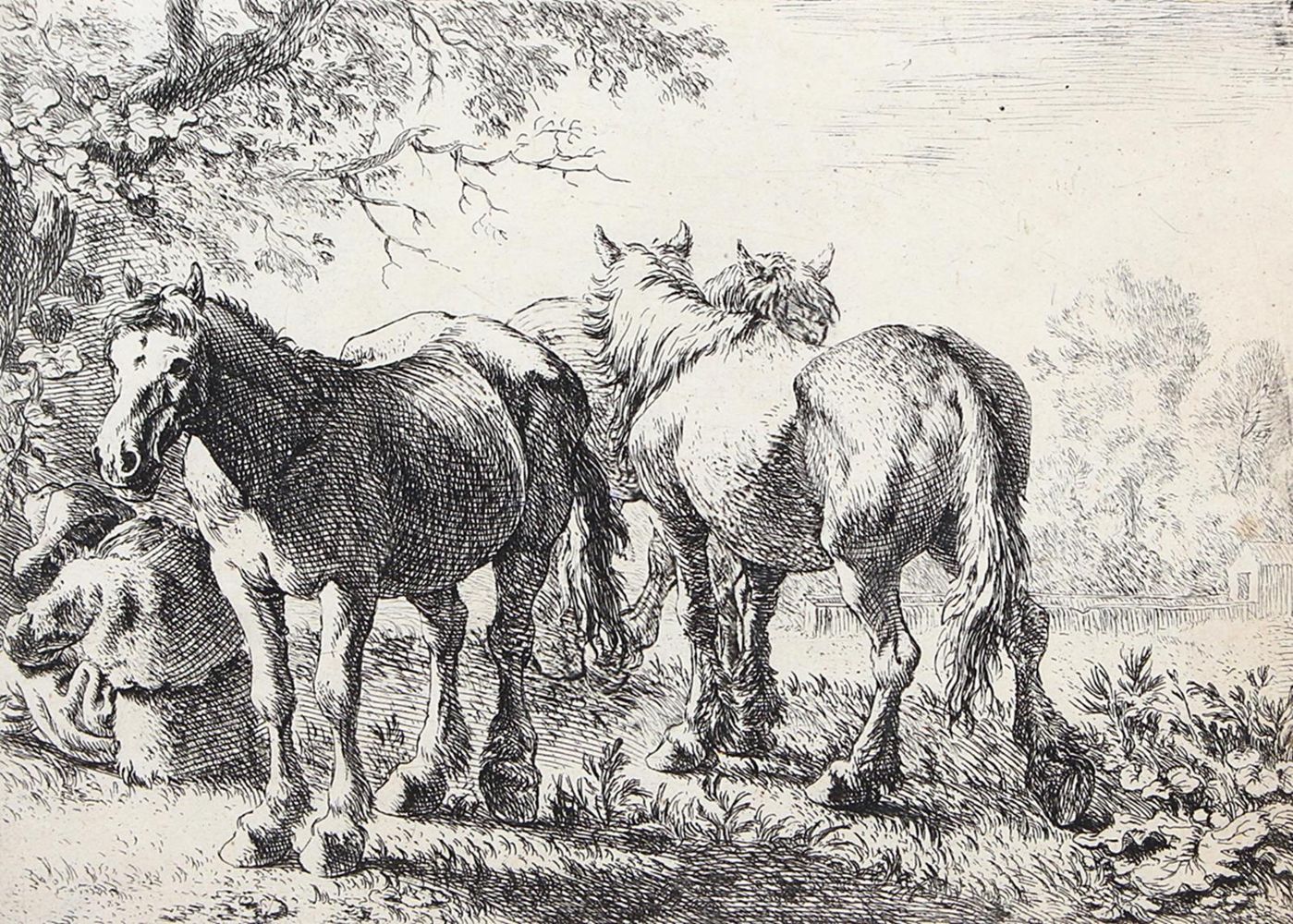 Große Abbildung Nr.1: 120-2041 Laer, Pieter van: (Varia, Pferde)