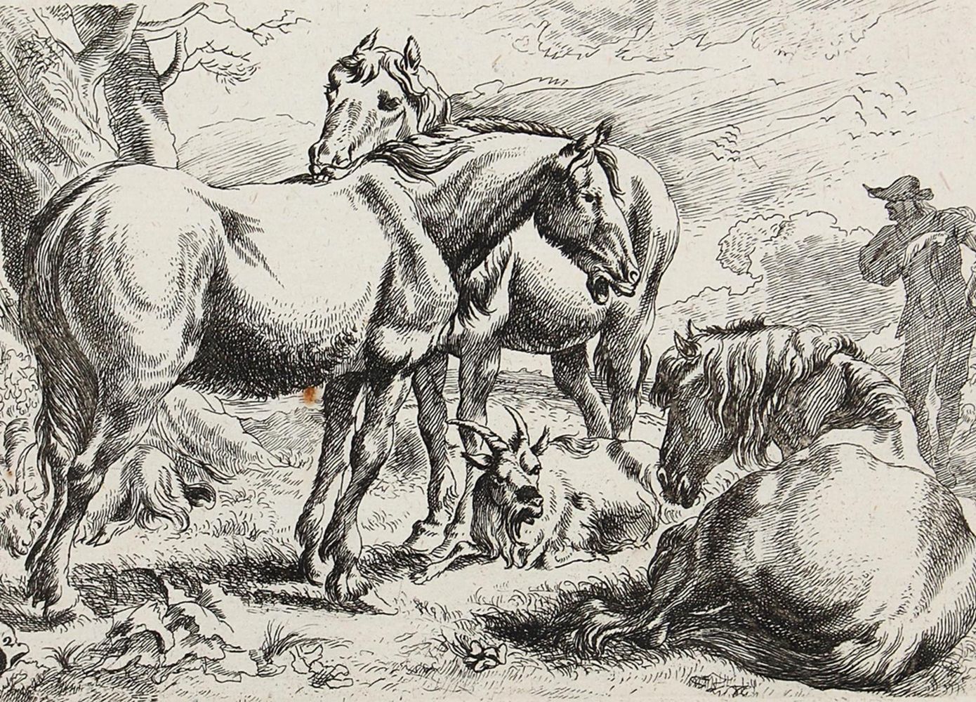 Große Abbildung Nr.2: 120-2041 Laer, Pieter van: (Varia, Pferde)