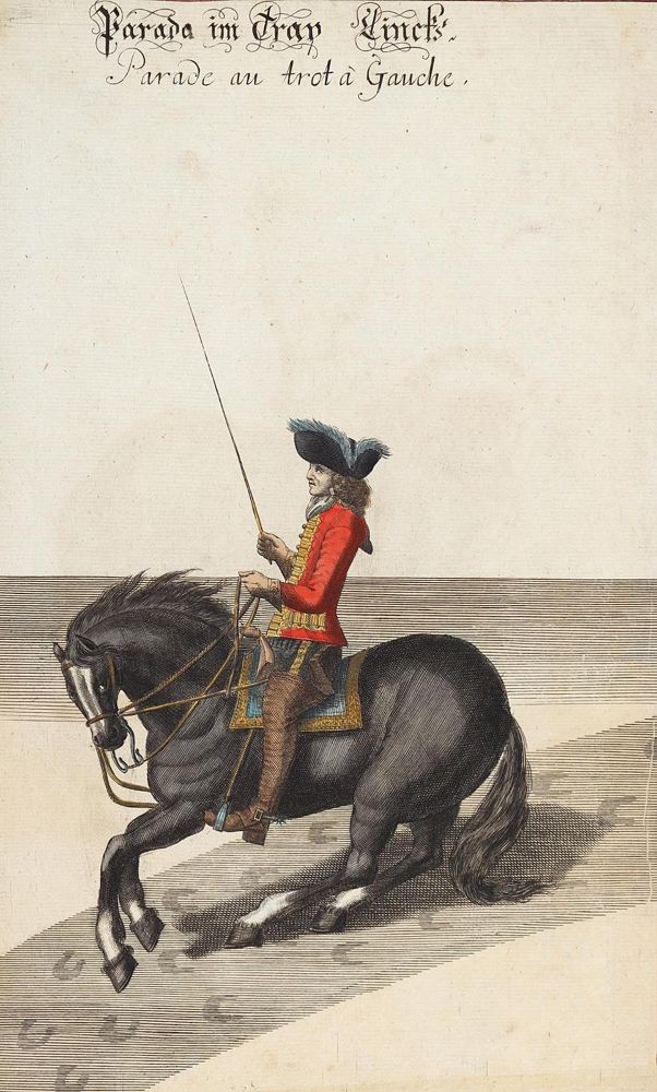 Große Abbildung Nr.1: 120-2083 Reitschule.: (Varia, Sport, Reitsport)