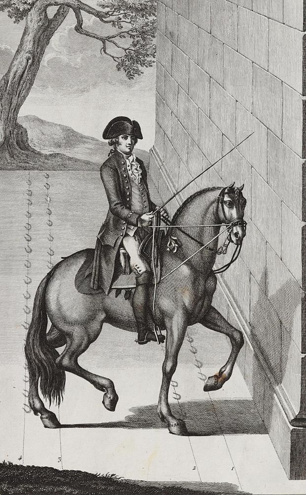 Große Abbildung Nr.2: 120-2083 Reitschule.: (Varia, Sport, Reitsport)