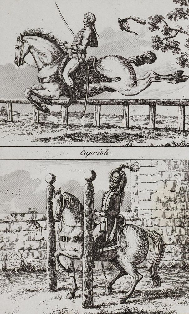 Große Abbildung Nr.4: 120-2083 Reitschule.: (Varia, Sport, Reitsport)
