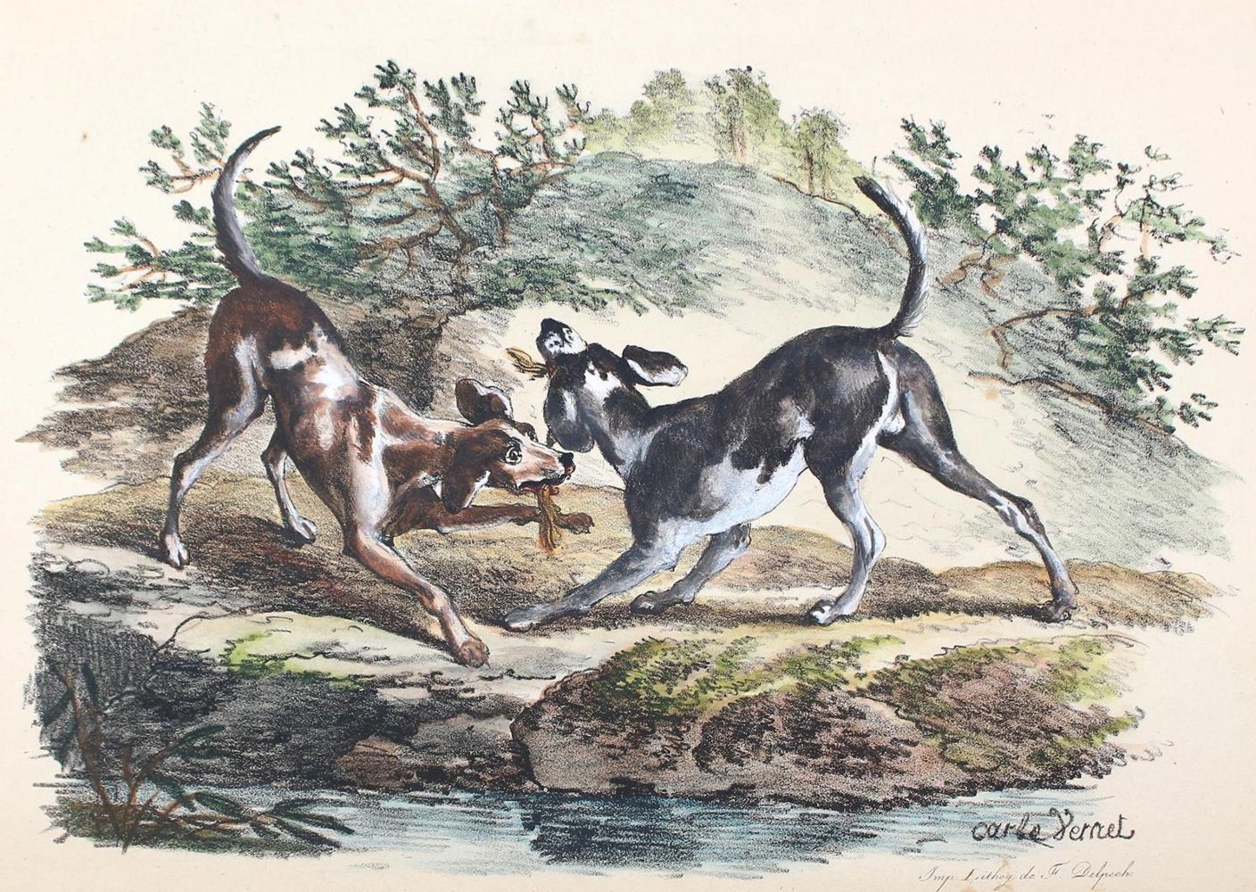 Große Abbildung Nr.4: 120-2085 Delpech, Francois-Séraphin: (Varia, Tierhaltung)