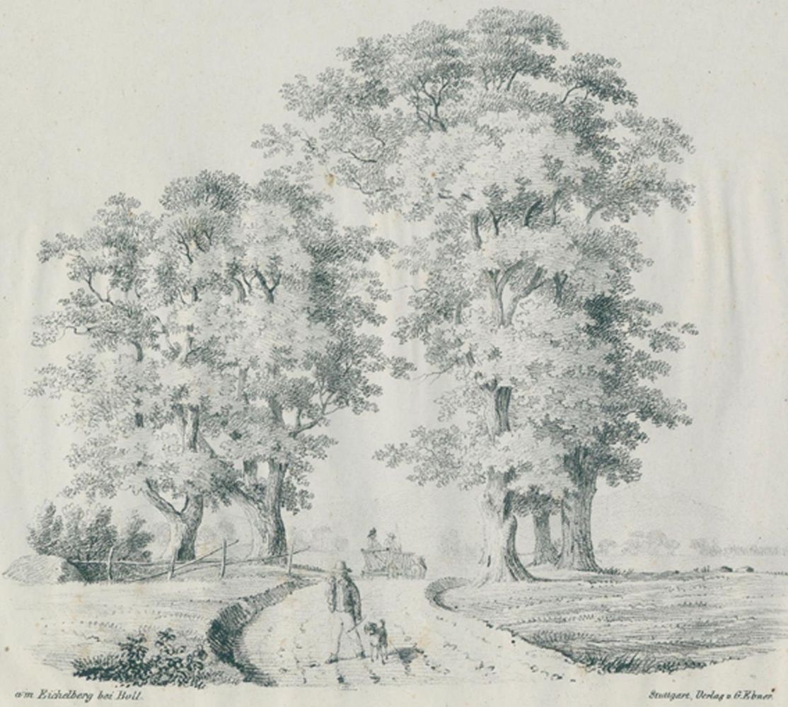 Große Abbildung Nr.1: 120-2131 Boll.: (Deutschland, Boll/Göppingen)